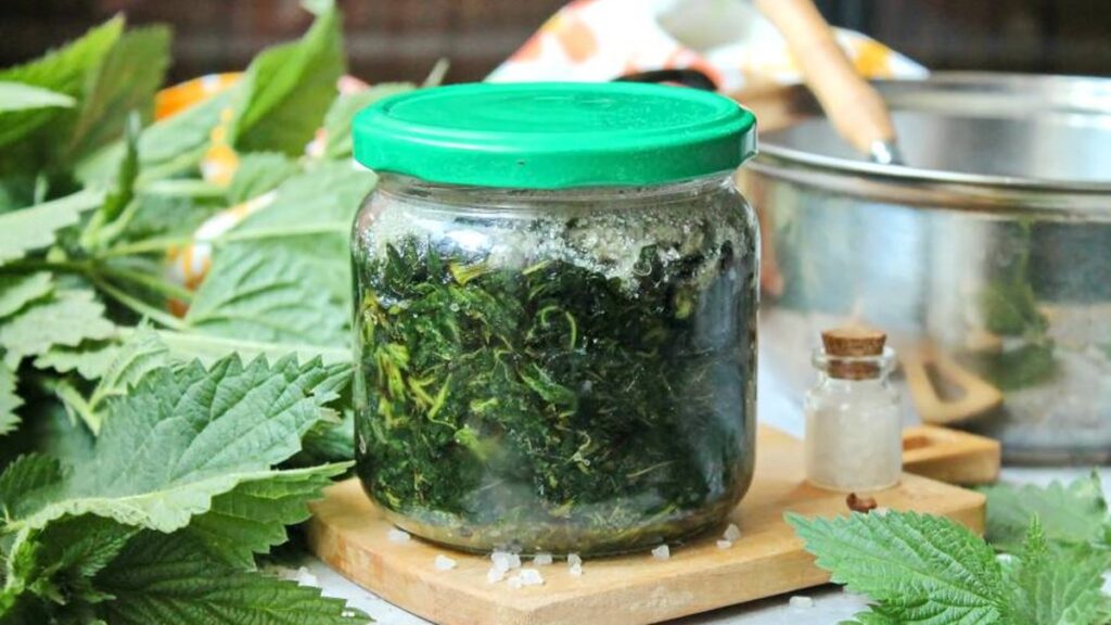 Kopřivový sirup bez vaření